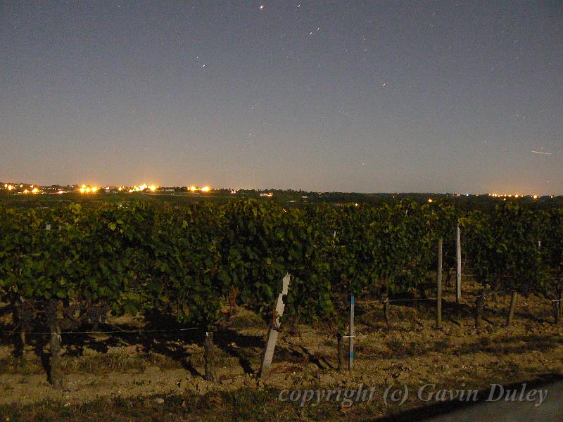 Vineyards near Saint-Émilion at night P1140311.JPG